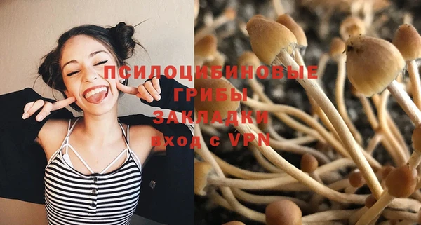 крисы Ладушкин