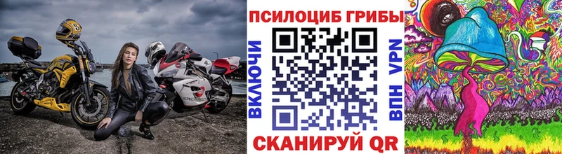 купить наркотики сайты  дарк нет официальный сайт  Псилоцибиновые грибы Psilocybine cubensis  Хадыженск 