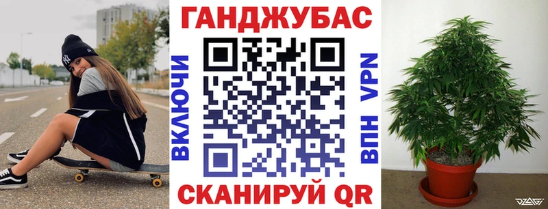 где купить наркотик  Хадыженск  Бошки Шишки Amnesia 